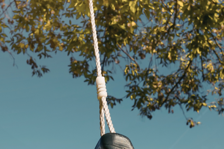 Stemmingswisselingen tijdens de overgang I FemmePrex